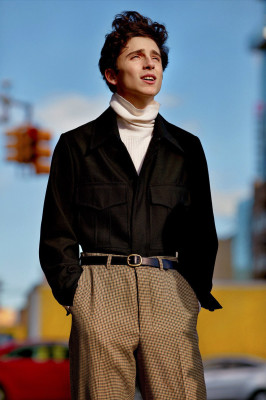 Timothee Chalamet pic #978030