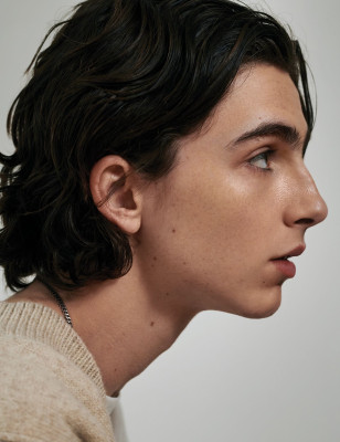 Timothee Chalamet pic #1024674