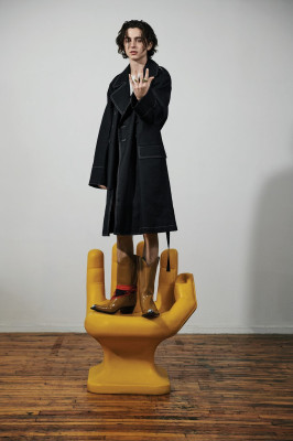 Timothee Chalamet pic #1024767