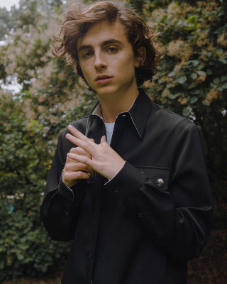 Timothee Chalamet pic #978028