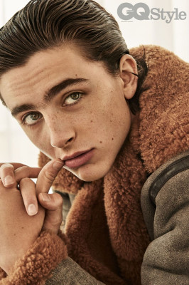 Timothee Chalamet pic #975193