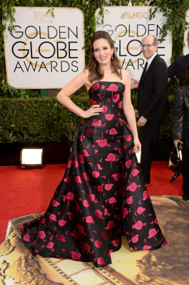 Tina Fey pic #662127