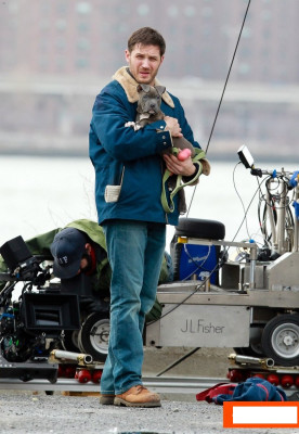Tom Hardy pic #590421