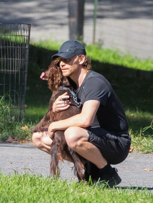 Tom Hiddleston pic #1177010