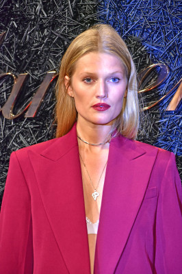 Toni Garrn pic #1103175