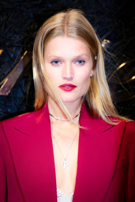 Toni Garrn pic #1103169