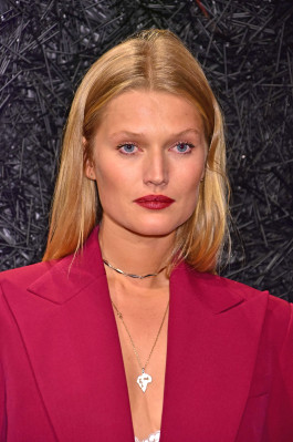 Toni Garrn pic #1103174