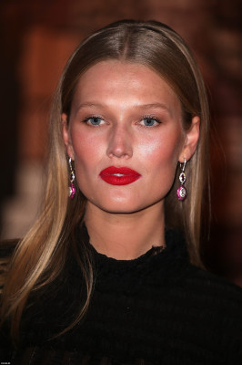 Toni Garrn pic #944452
