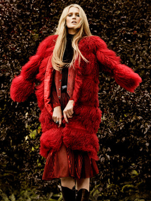 Toni Garrn pic #729701