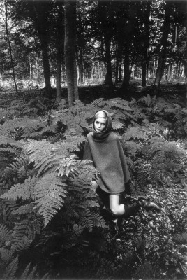 photo 11 in Twiggy gallery [id199193] 2009-11-12 00:00:00