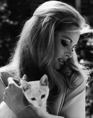 Ursula Andress pic #204547