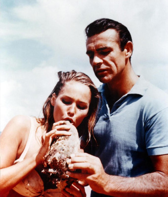 photo 5 in Ursula Andress gallery [id464429] 2012-03-26 00:00:00