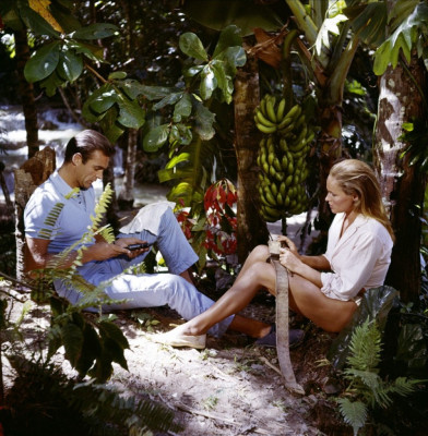 photo 3 in Ursula Andress gallery [id482713] 2012-05-01 00:00:00