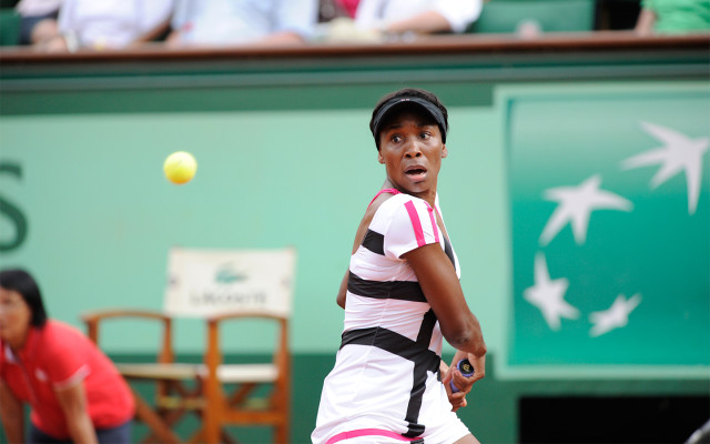 Venus Williams pic #494588