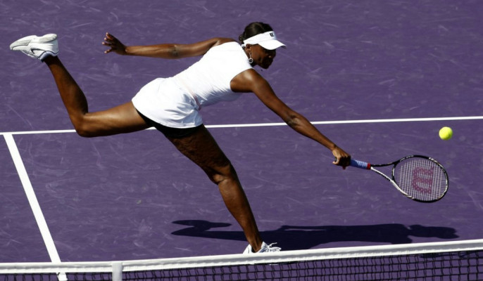 Venus Williams pic #464862