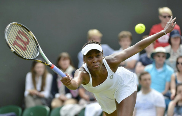 Venus Williams pic #503543
