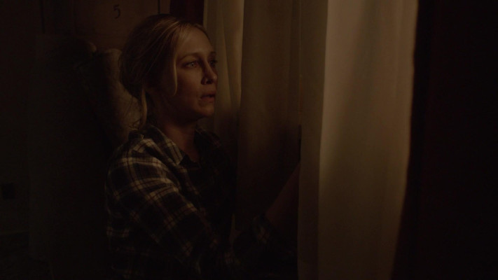 Vera Farmiga pic #1238648