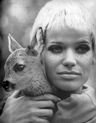 photo 8 in Veruschka gallery [id366043] 2011-04-07 00:00:00