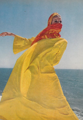 photo 16 in Veruschka von Lendorff gallery [id334434] 2011-01-31 00:00:00