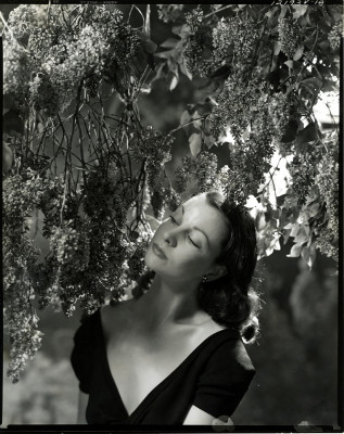 Vivien Leigh pic #194828
