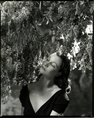 Vivien Leigh pic #101457