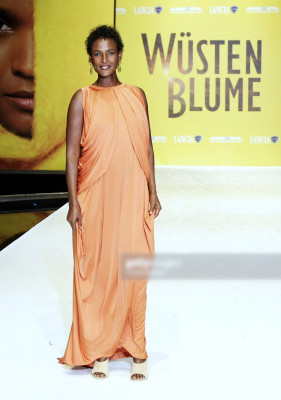 photo 29 in Waris Dirie gallery [id1163571] 2019-07-30 00:00:00