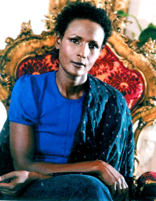 photo 26 in Waris Dirie gallery [id1163574] 2019-07-30 00:00:00