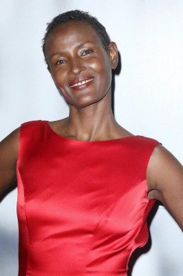 Waris Dirie pic #1163528