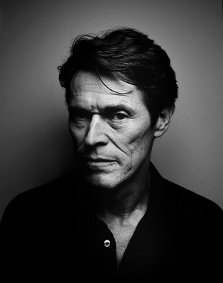 photo 8 in Dafoe gallery [id1318570] 2022-12-28 00:00:00
