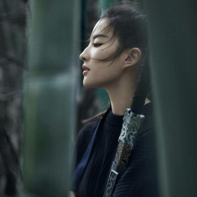 Yifei Liu pic #1120350