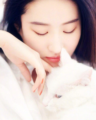 Yifei Liu pic #1120200