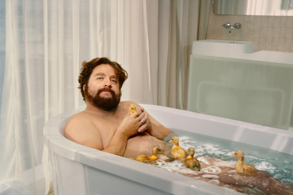 Zach Galifianakis  pic #496751