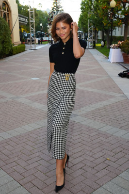 photo 7 in Zendaya gallery [id1319666] 2023-01-11 00:00:00