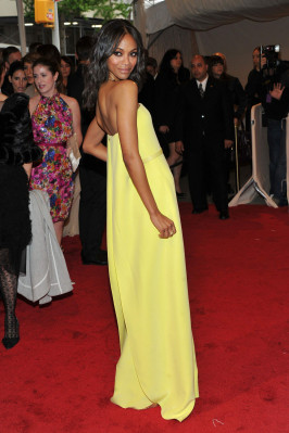 Zoe Saldana pic #375251