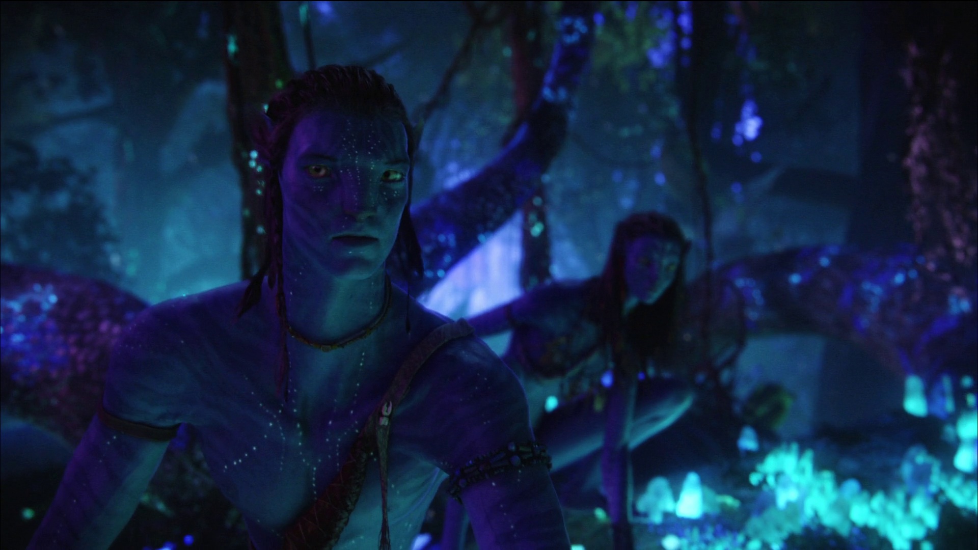 Photo from Avatar Film