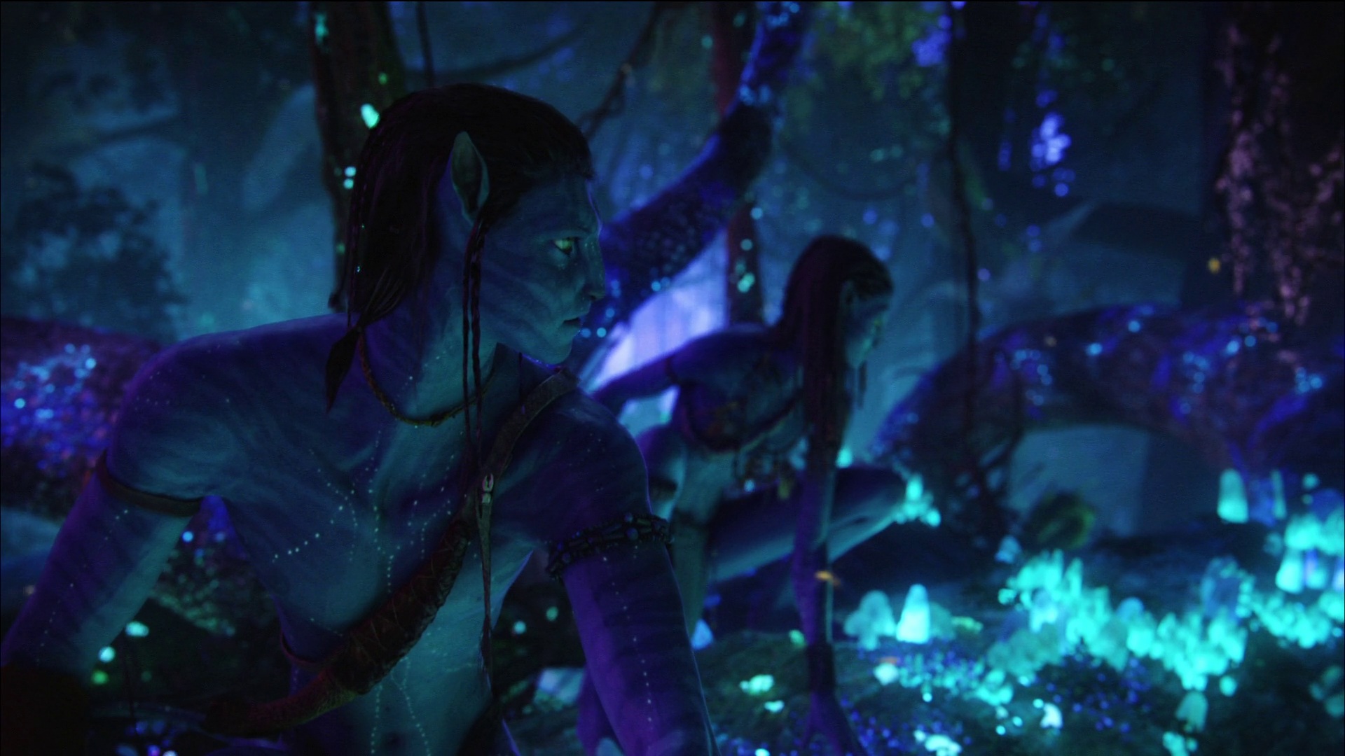 Photo from Avatar Film