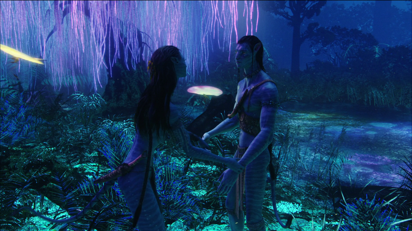 Photo from Avatar Film