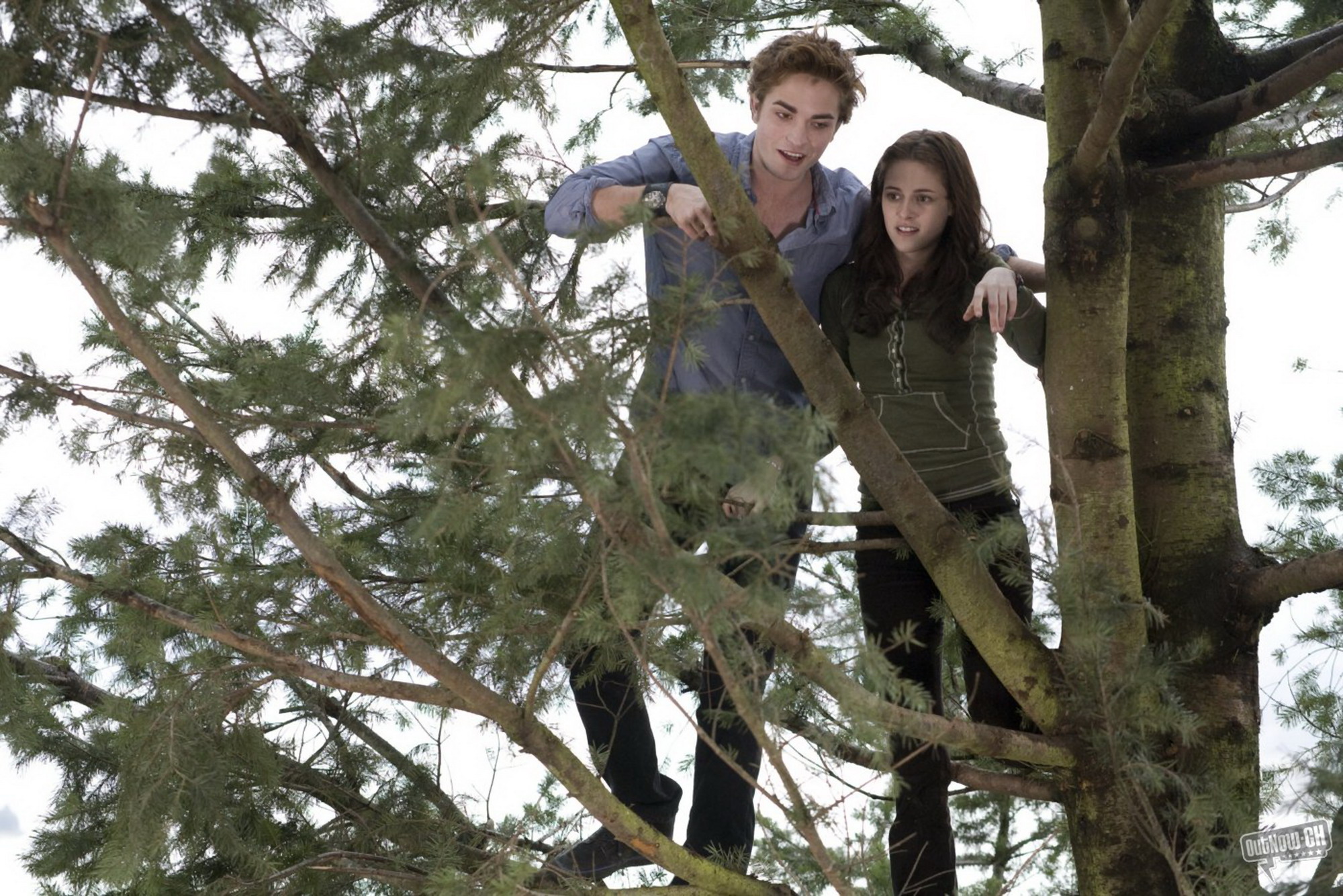 Photo from Twilight