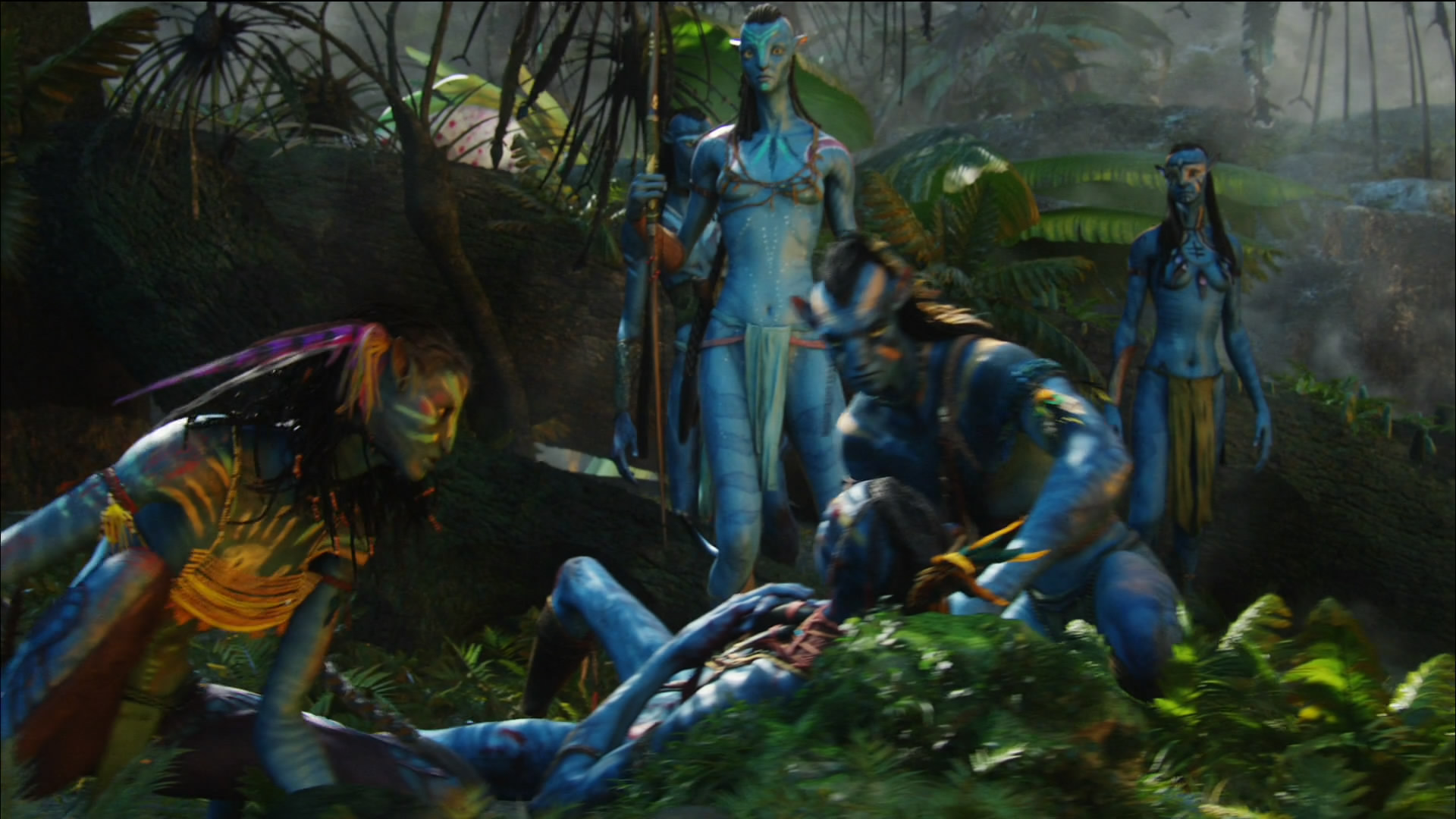 Photo from Avatar Film