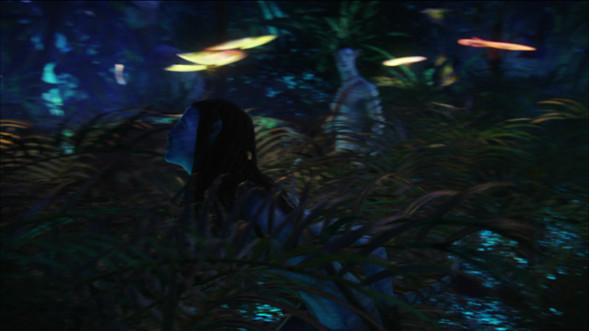 Photo from Avatar Film