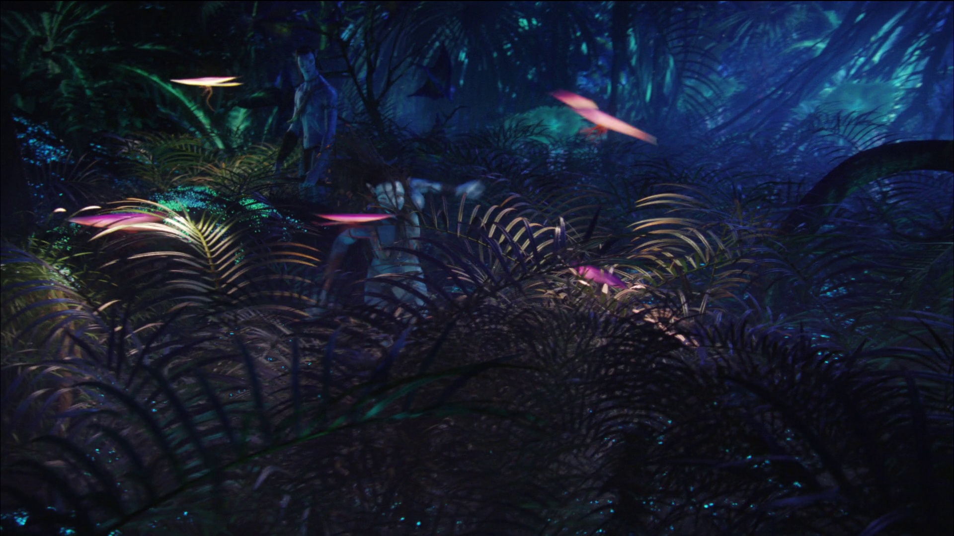 Photo from Avatar Film
