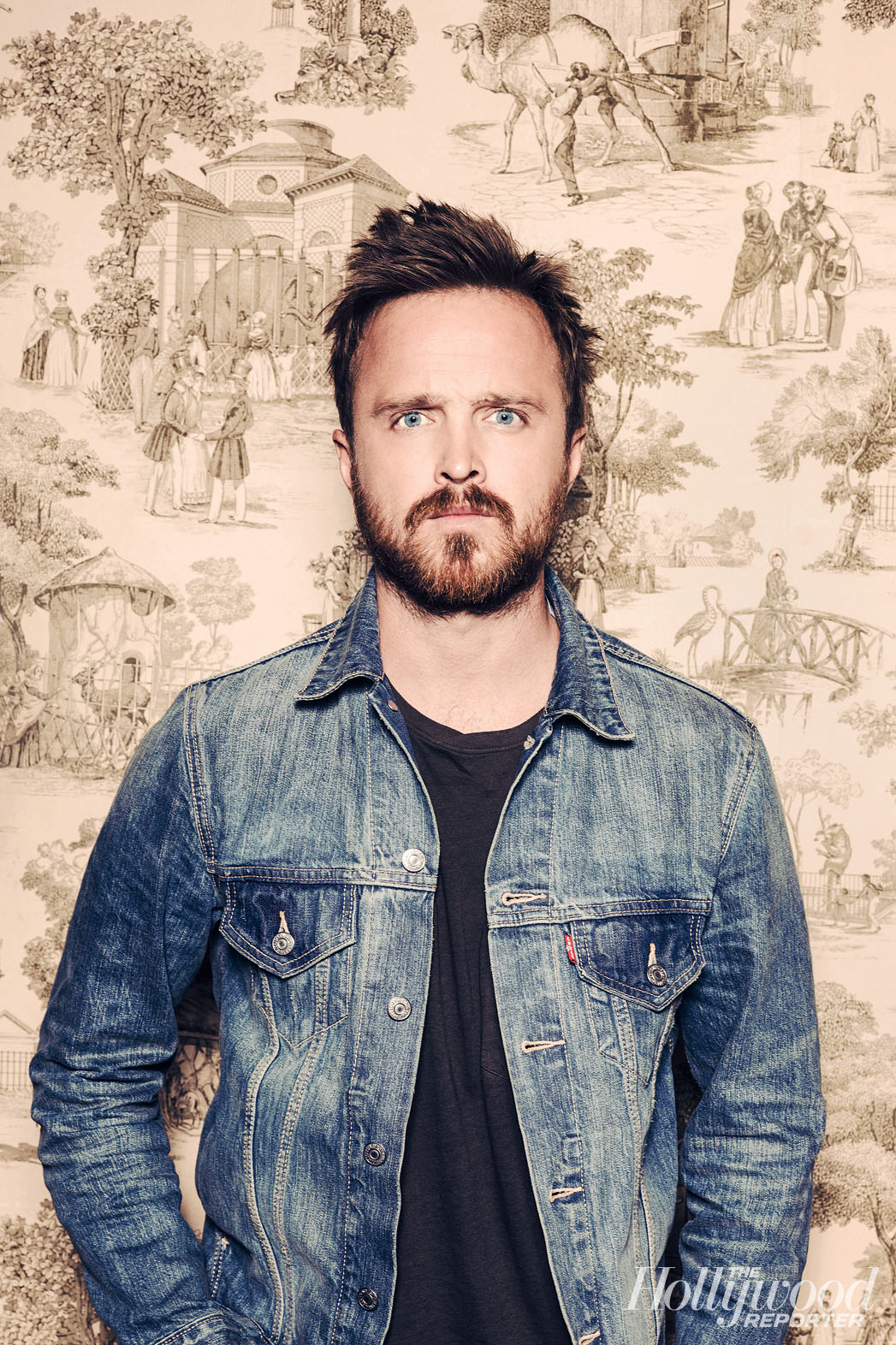 Aaron Paul, photo #713410