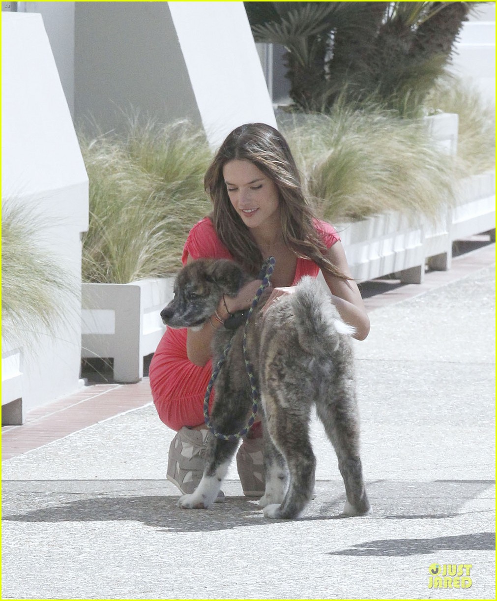 Alessandra Ambrosio, photo #640737