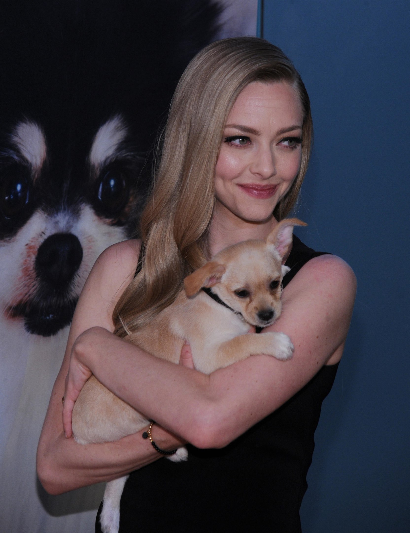 Amanda Seyfried, photo #1030688