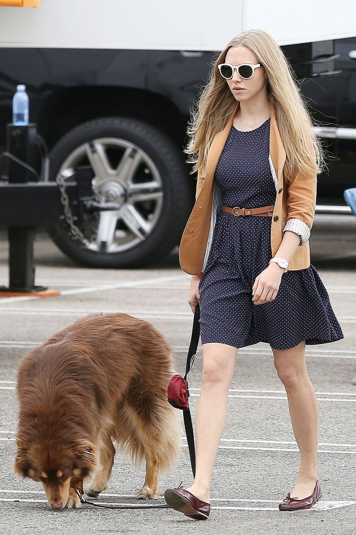 Amanda Seyfried, photo #739235