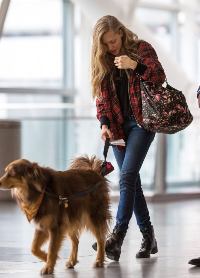 Amanda Seyfried, photo #689098