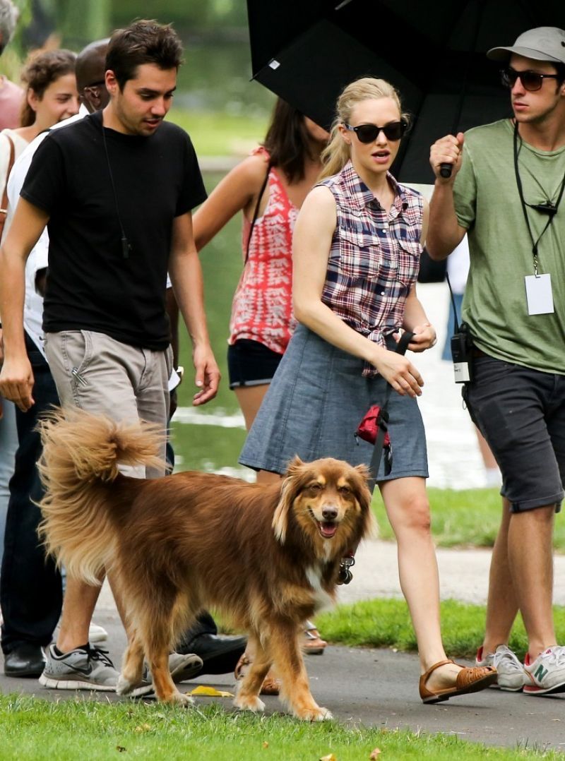 Amanda Seyfried, photo #725624