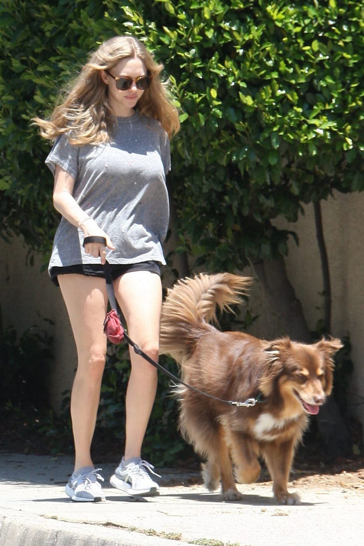 Amanda Seyfried, photo #929916