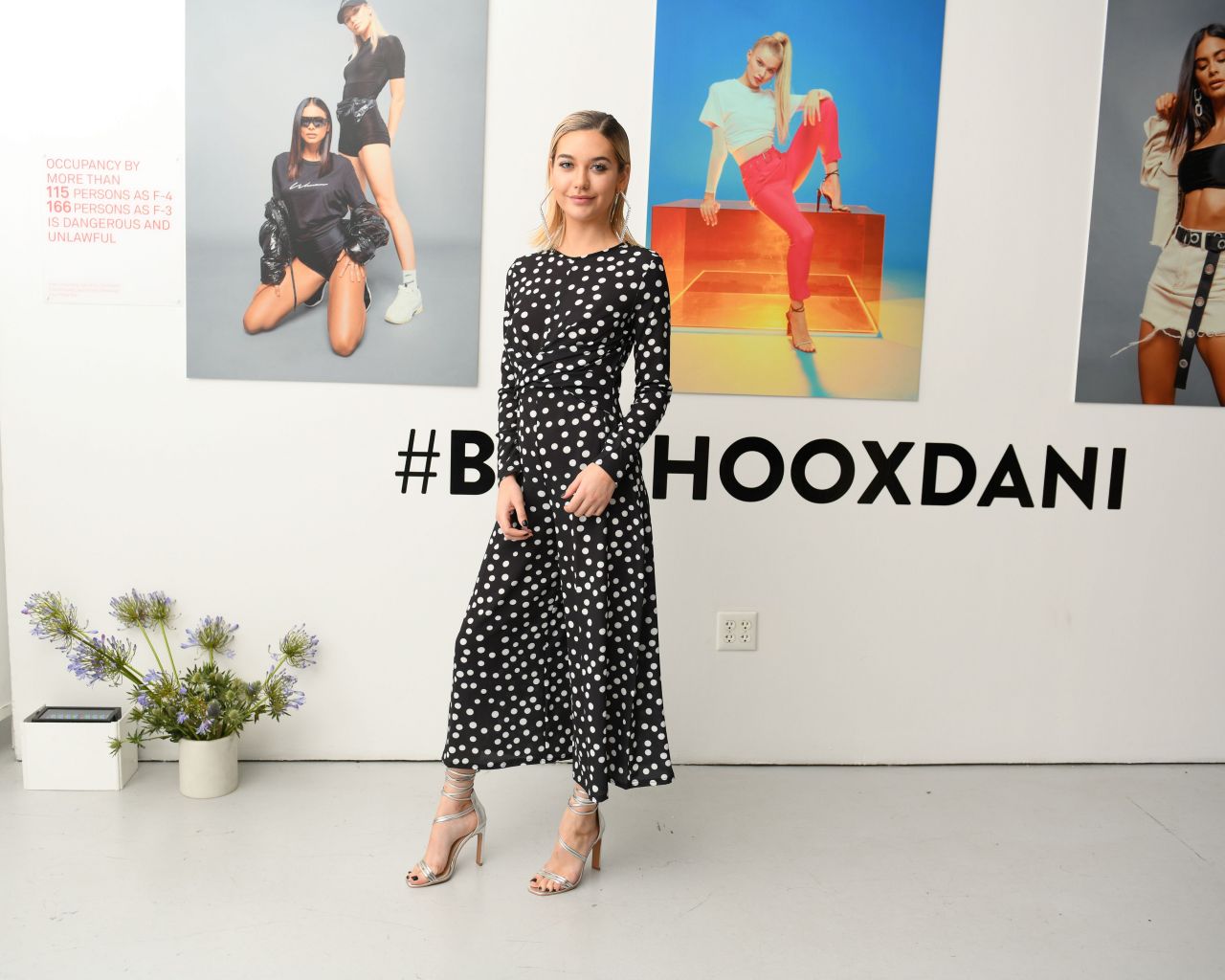 Amanda Steele, photo #1066819