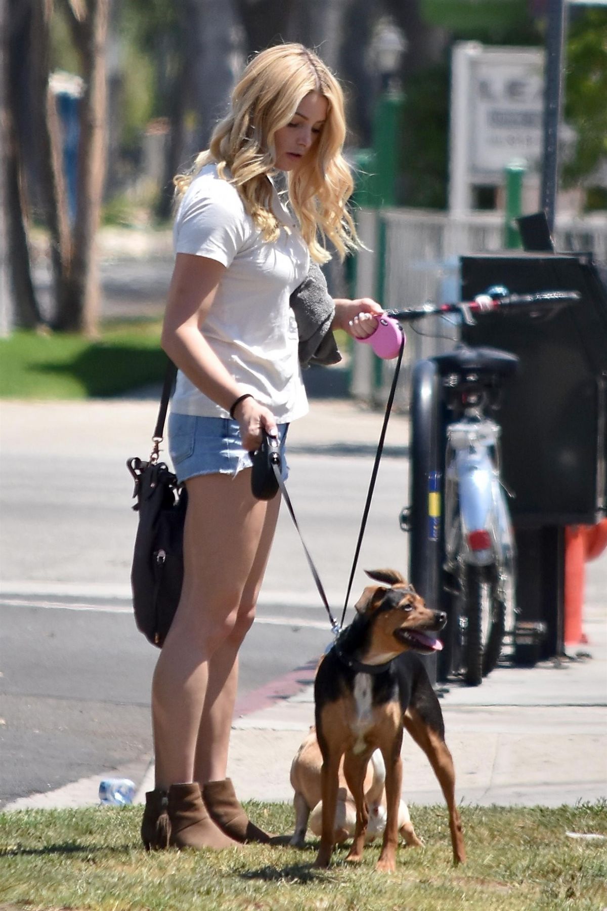 Ashley Greene, photo #947172